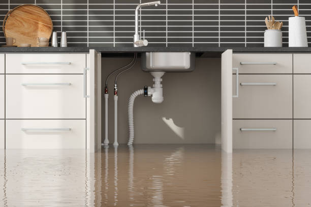 Best Water damage restoration near me  in Stevenson, WA