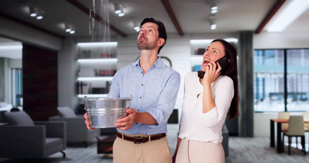 Best Fire Damage Restoration  in Stevenson, WA